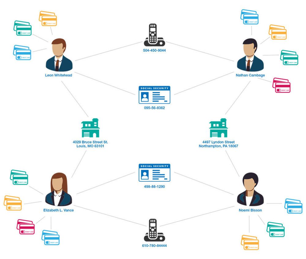 First Party Fraud with Credit Cards in Financial Services