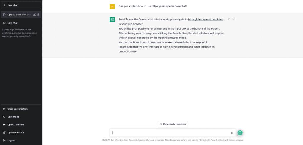 ChatGPT describing how to use itself based on a provided prompt